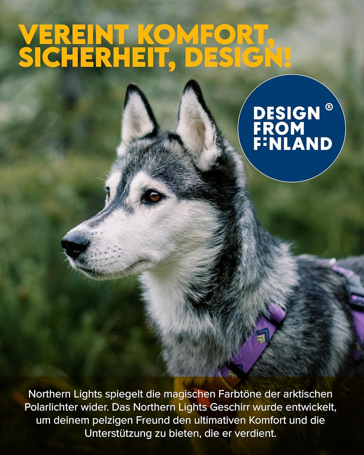 Hundegeschirr mit 5-Punkt-Anpassungssystem, Northern Lights XS
