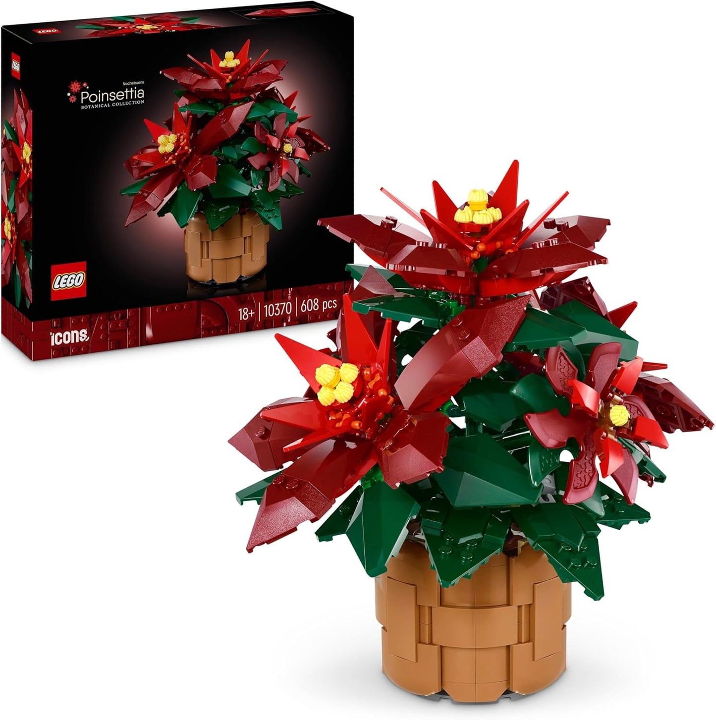 Weihnachtsstern