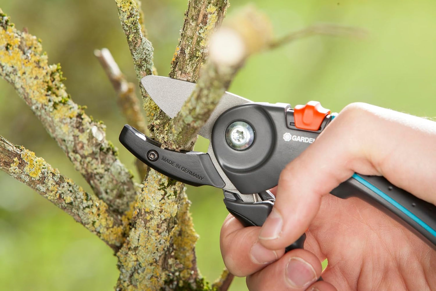 Gartenschere, Amboss