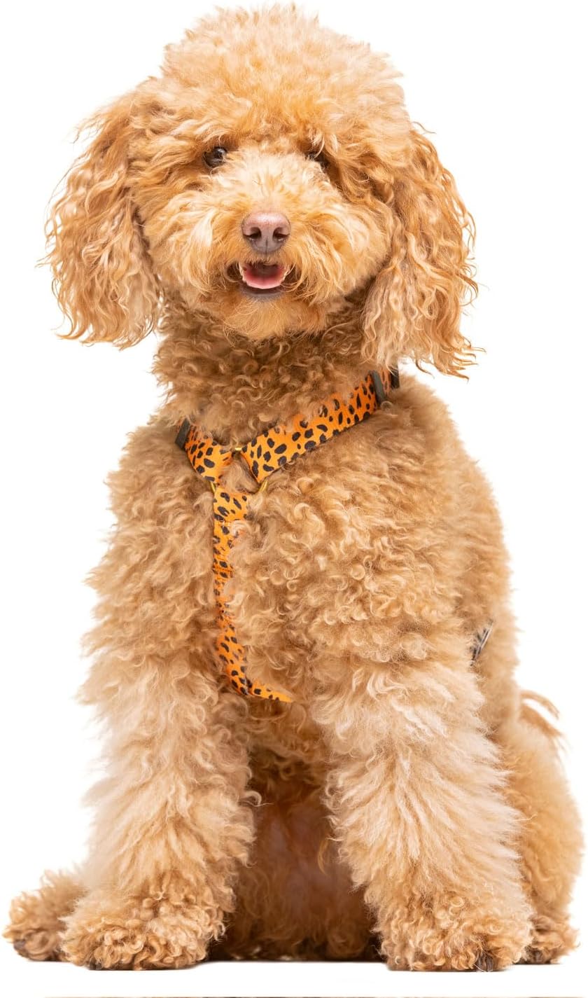 Verstellbares Anti-Zug Hundegeschirr, CHEETAH GOLD M