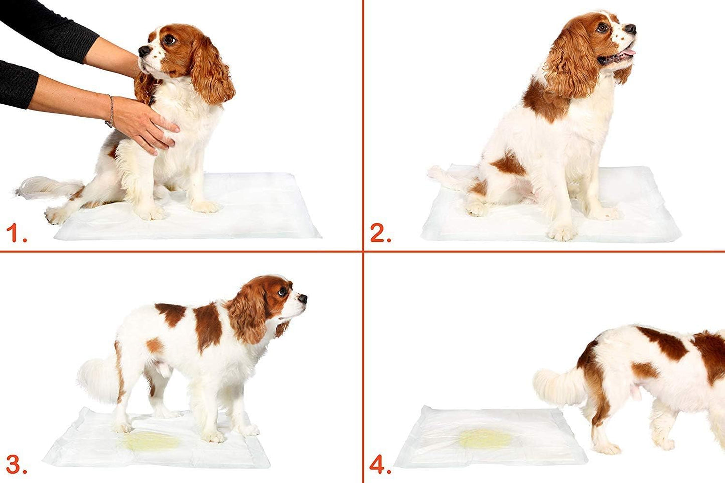 Puppy Training Pads, 90x60 cm 50