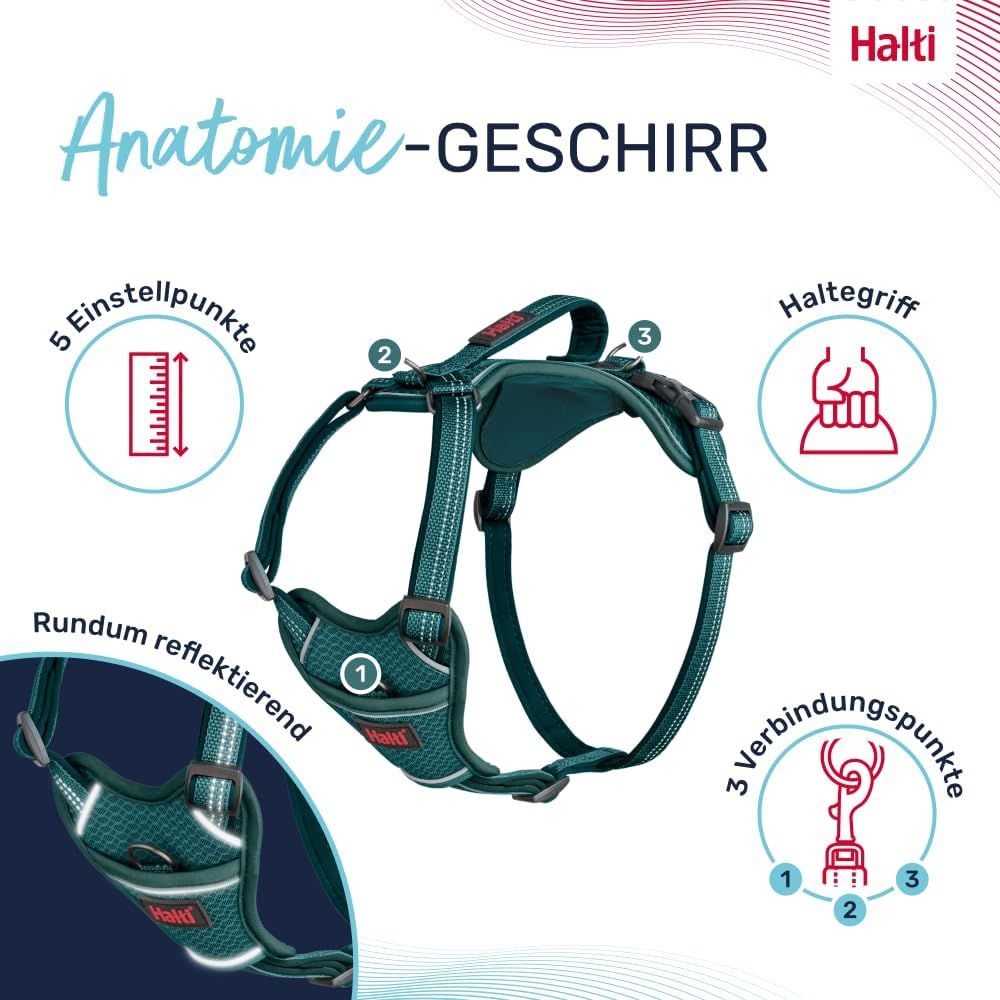 Halti Anatomie Hundegeschirr mit Griff, 3 Leinenpunkte, verstellbar, reflektierend, Blaugrün XS