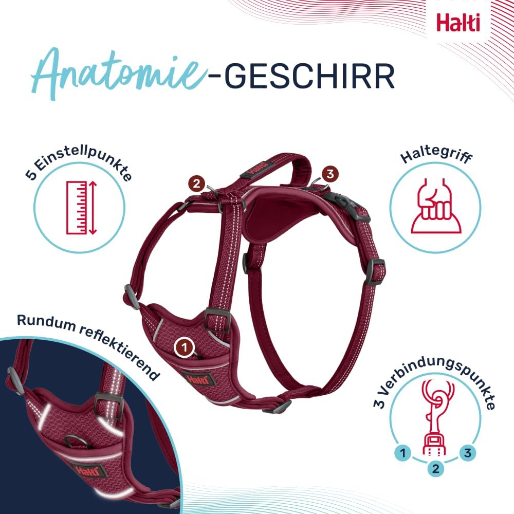Hundegeschirr Anatomy, Magenta S