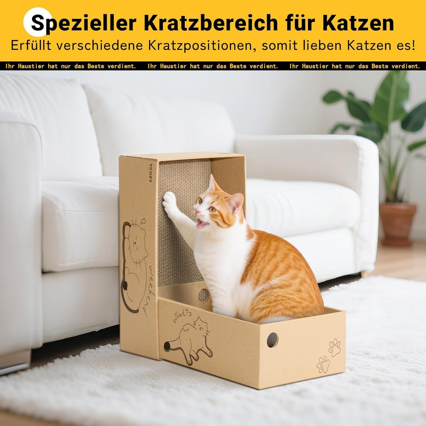 Kratzbrett-Set für Katzen, 2 Box