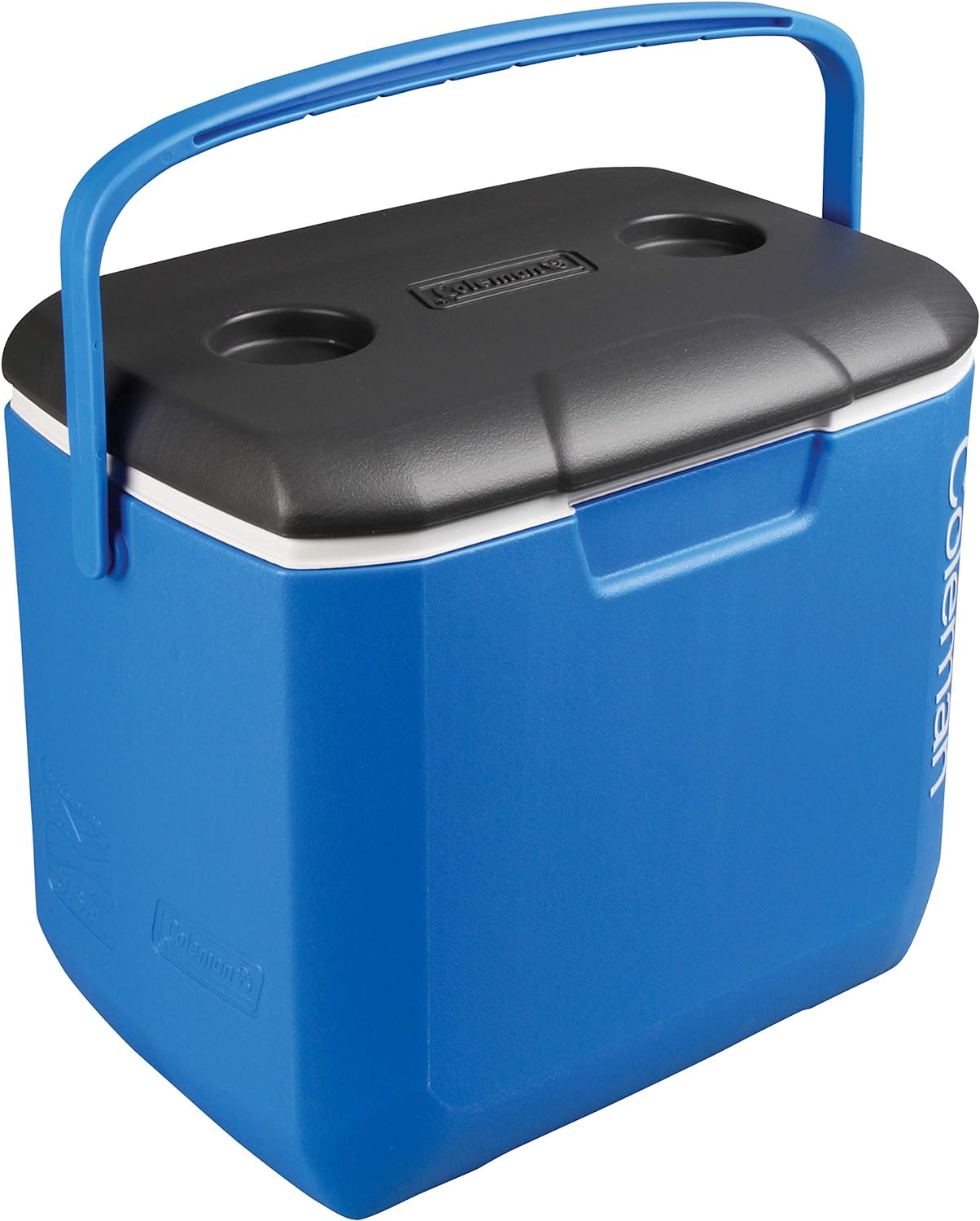 30 QT Performance