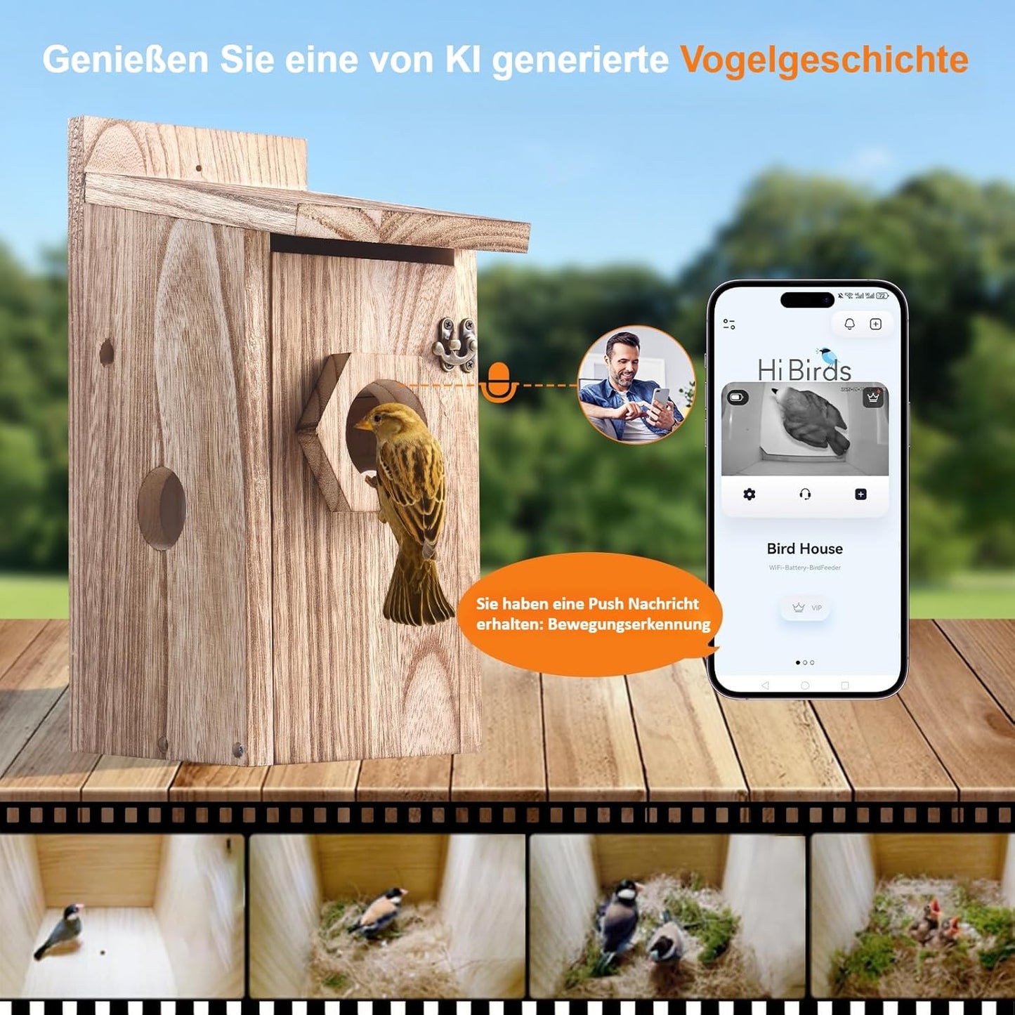 Vogelhaus mit Kamera & Solarbetrieb, Holz Vogelhaus Solar Kamera