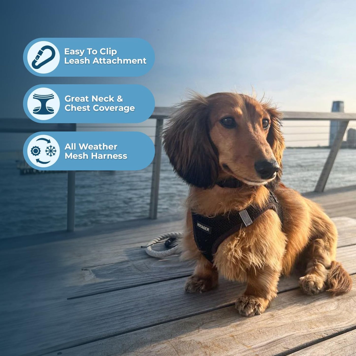 Step-In Air Hundegeschirr, L (Chest: 18 - 21 1Black Base