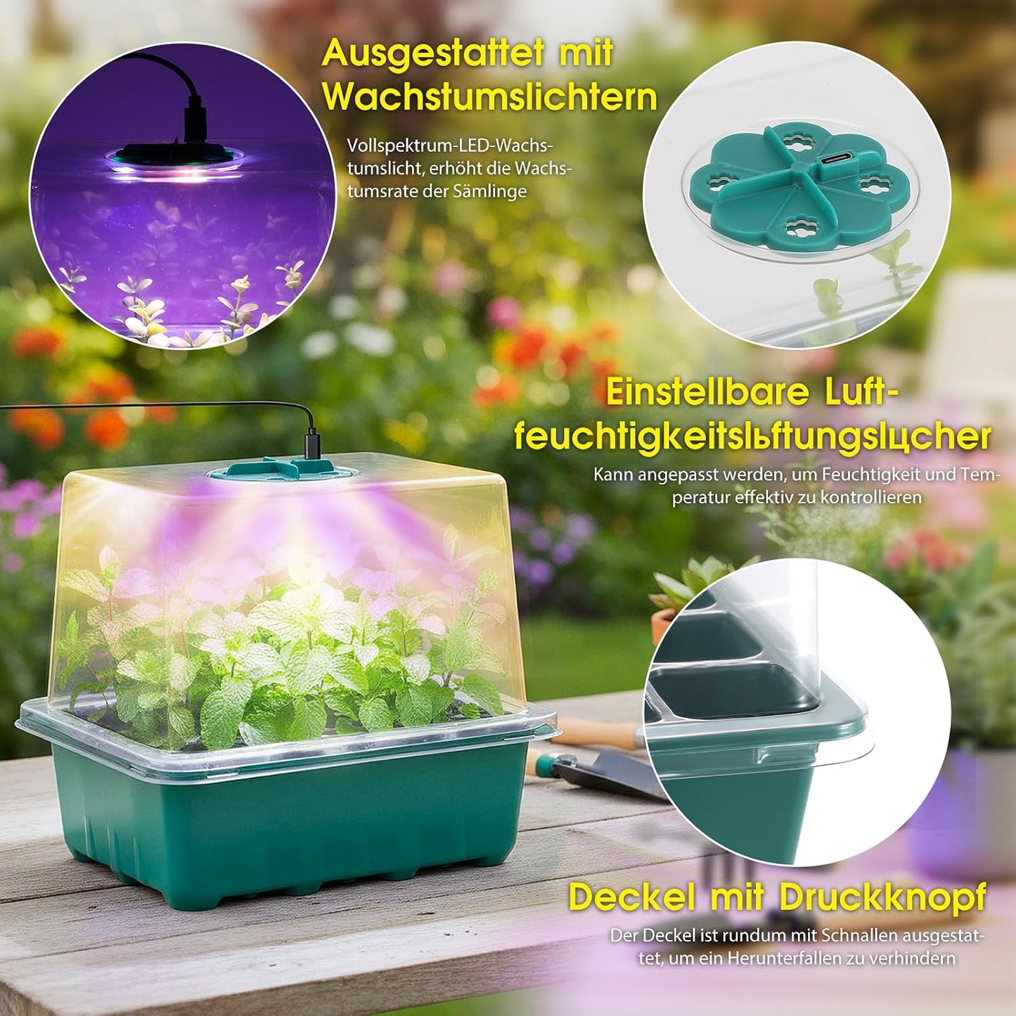 6 x Anzuchtschalen mit LED-Wachstumslicht und Timer, Grün-6pcs