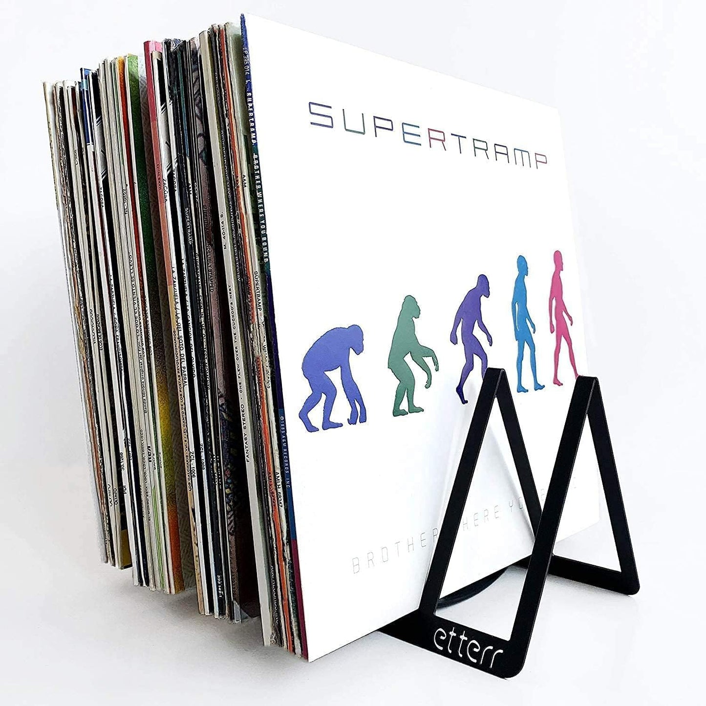 Präsentationshalterung für Vinyl-Schallplatten, Schwarz