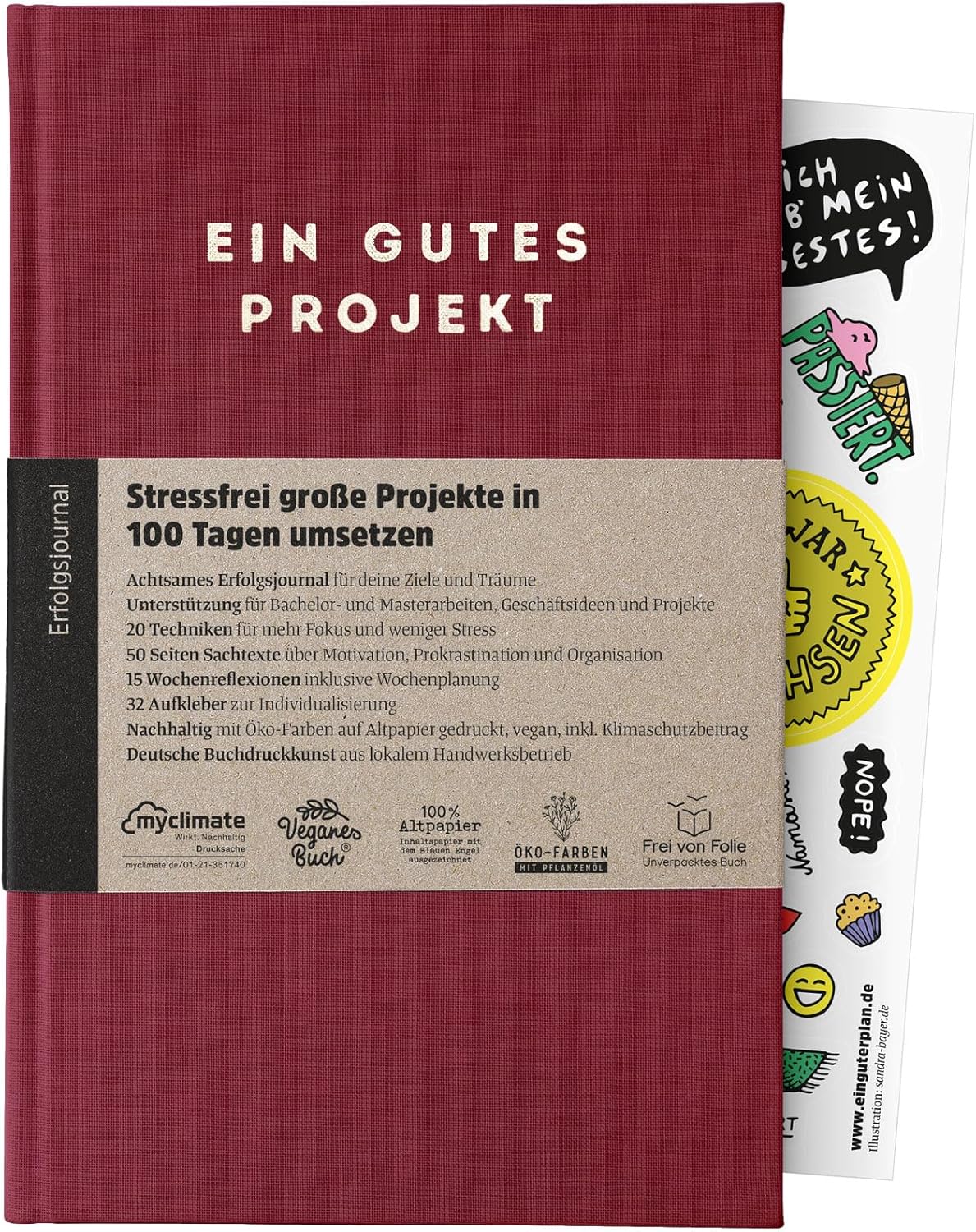 Ein gutes Projekt, Rubin