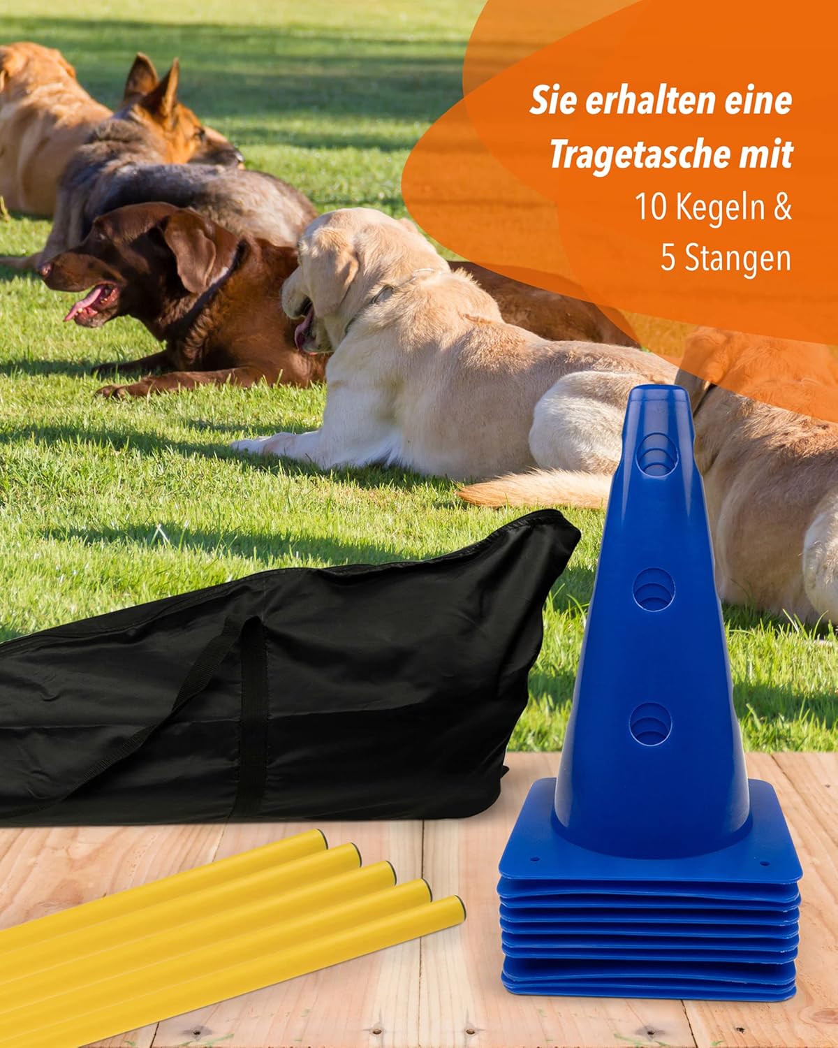 Parcours-Hürden-Set für Agility, orange/blau
