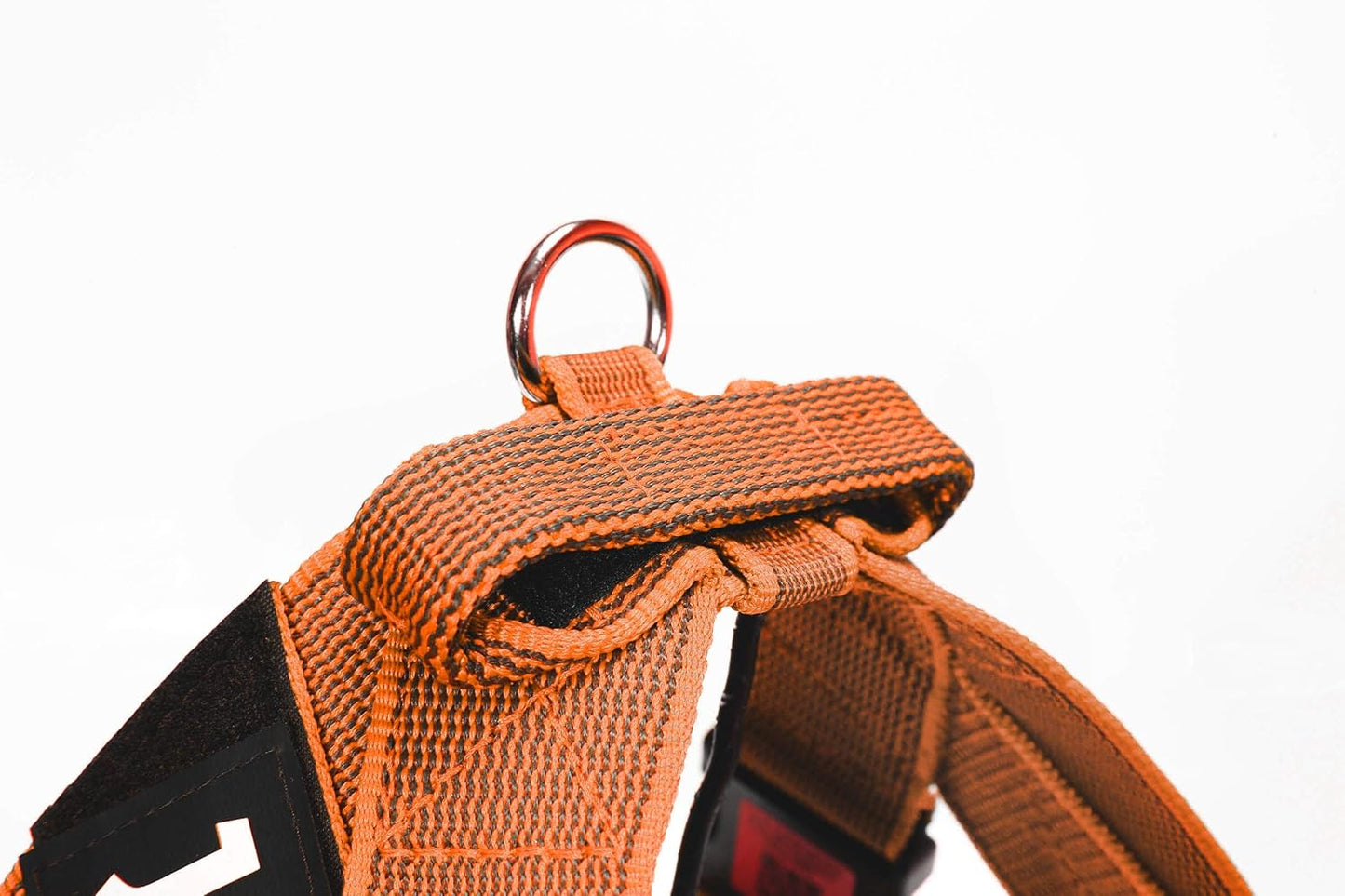 IDC Color & Gray - Beltgeschirr für Hunde, orange-grau / XL / Grösse, 2