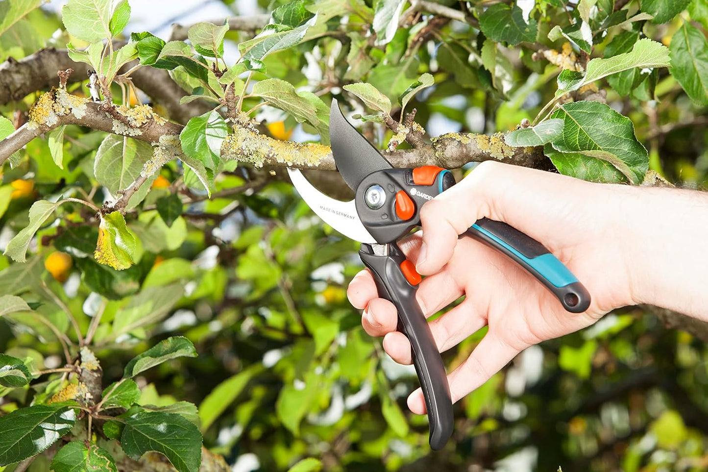 Gartenschere B/S XL, Single