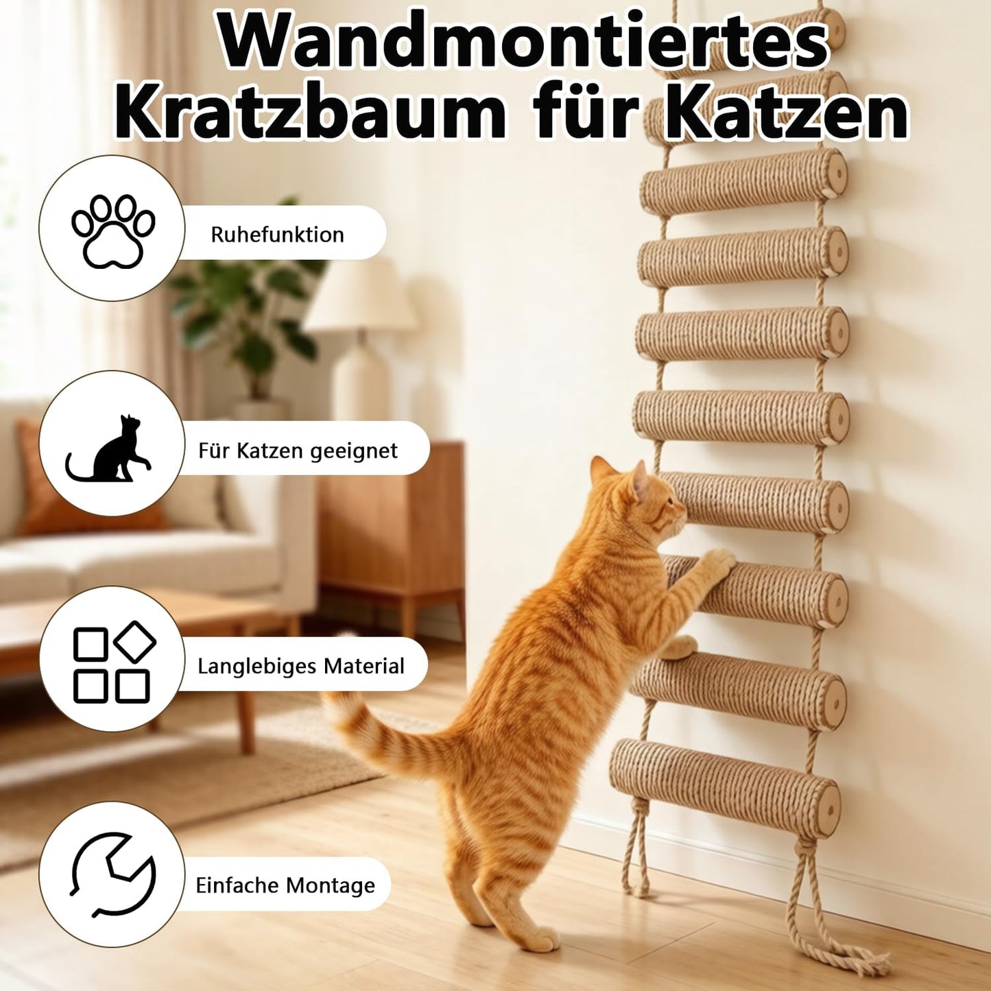2-in-1 Kletterleiter & Katzentreppe