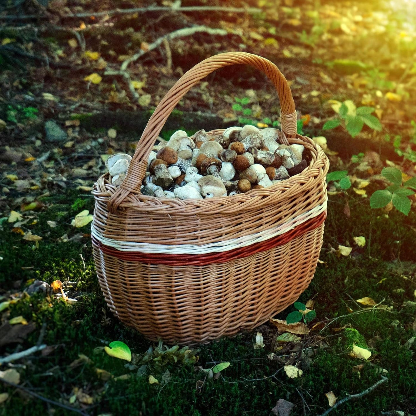 Weidenkorb mit Henkelgriff für Pilze und Einkäufe, 44x26x41cm Mix