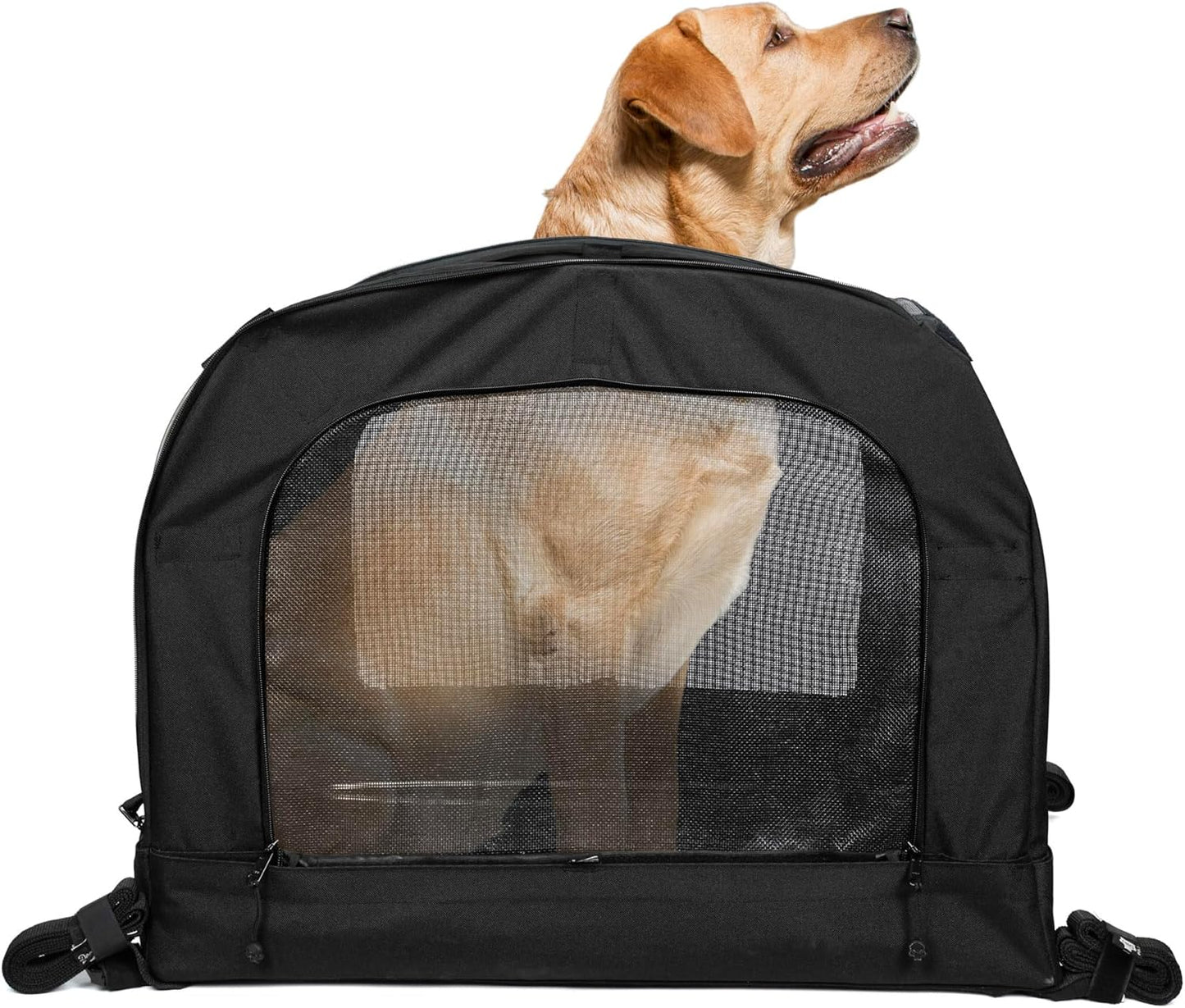 Motorrad-Haustiertasche für Hunde und Katzen, XL (bis zu 36 kg)