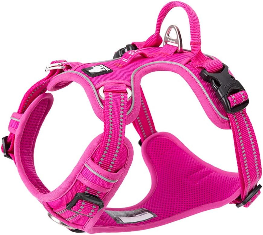 Hundegeschirr TLH56512, M / Fuchsia