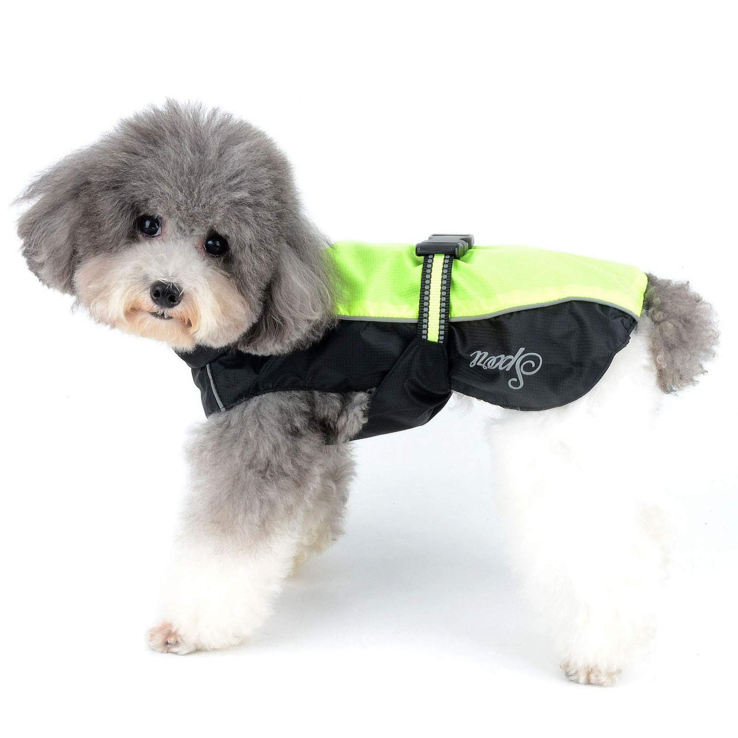 Regenmantel für kleine Hunde, 2XL (1er Pack) Grün