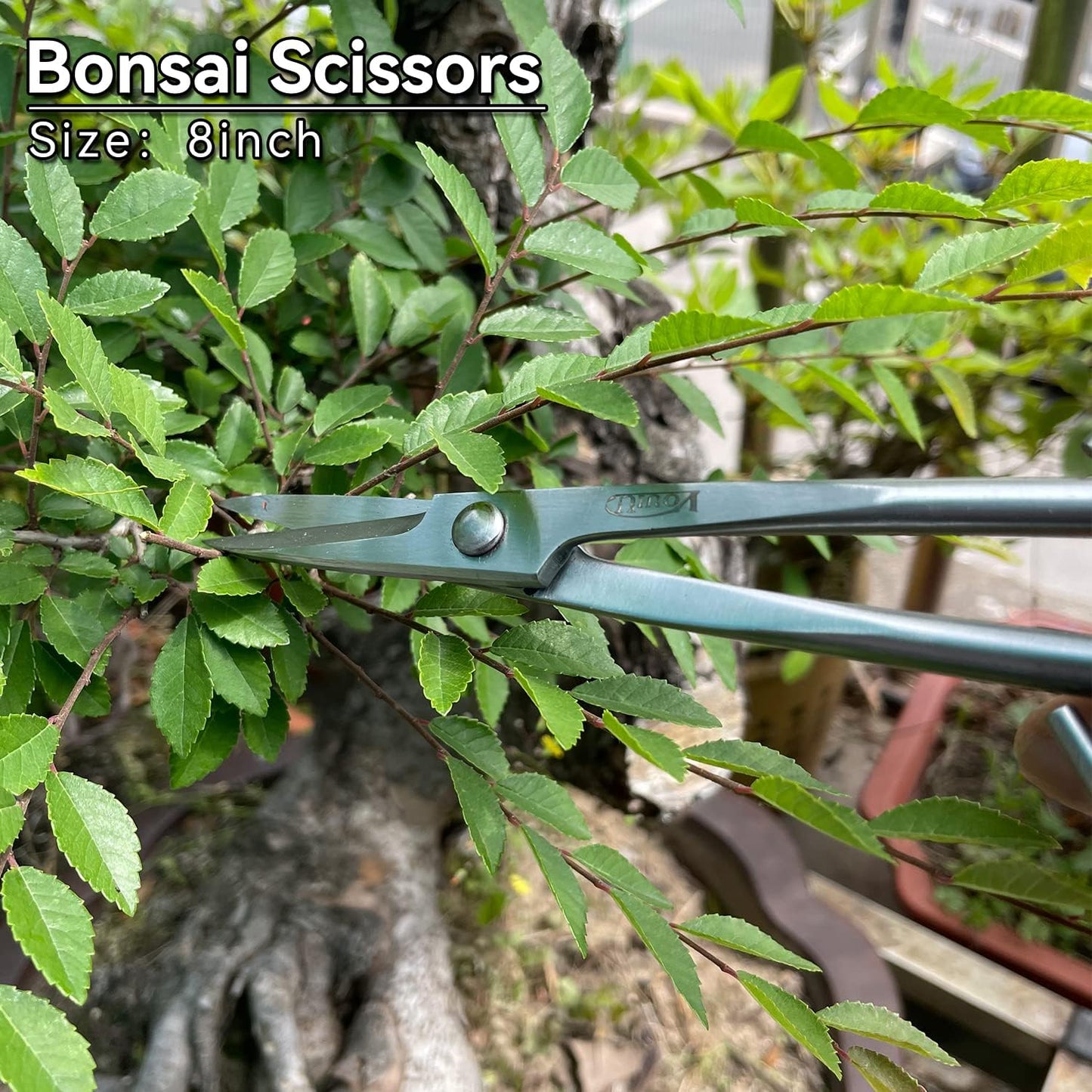 6-teiliges Bonsai-Werkzeug-Set