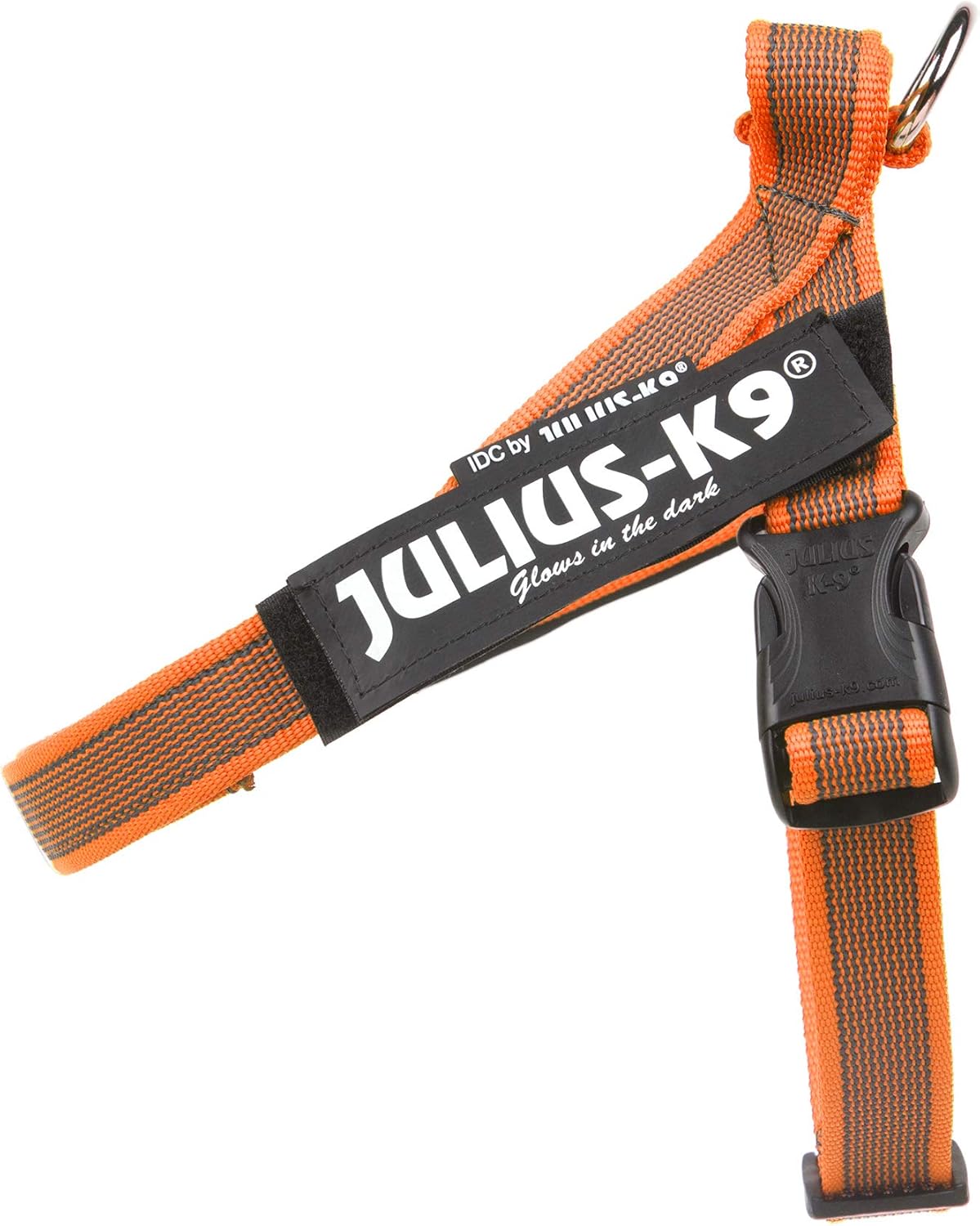 Color & Gray - Beltgeschirr für Hunde, S / Mini orange-grau