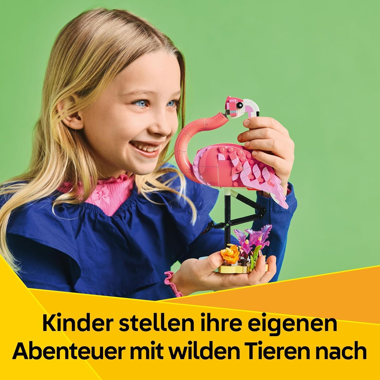 Wilde Tiere: Rosa Flamingo