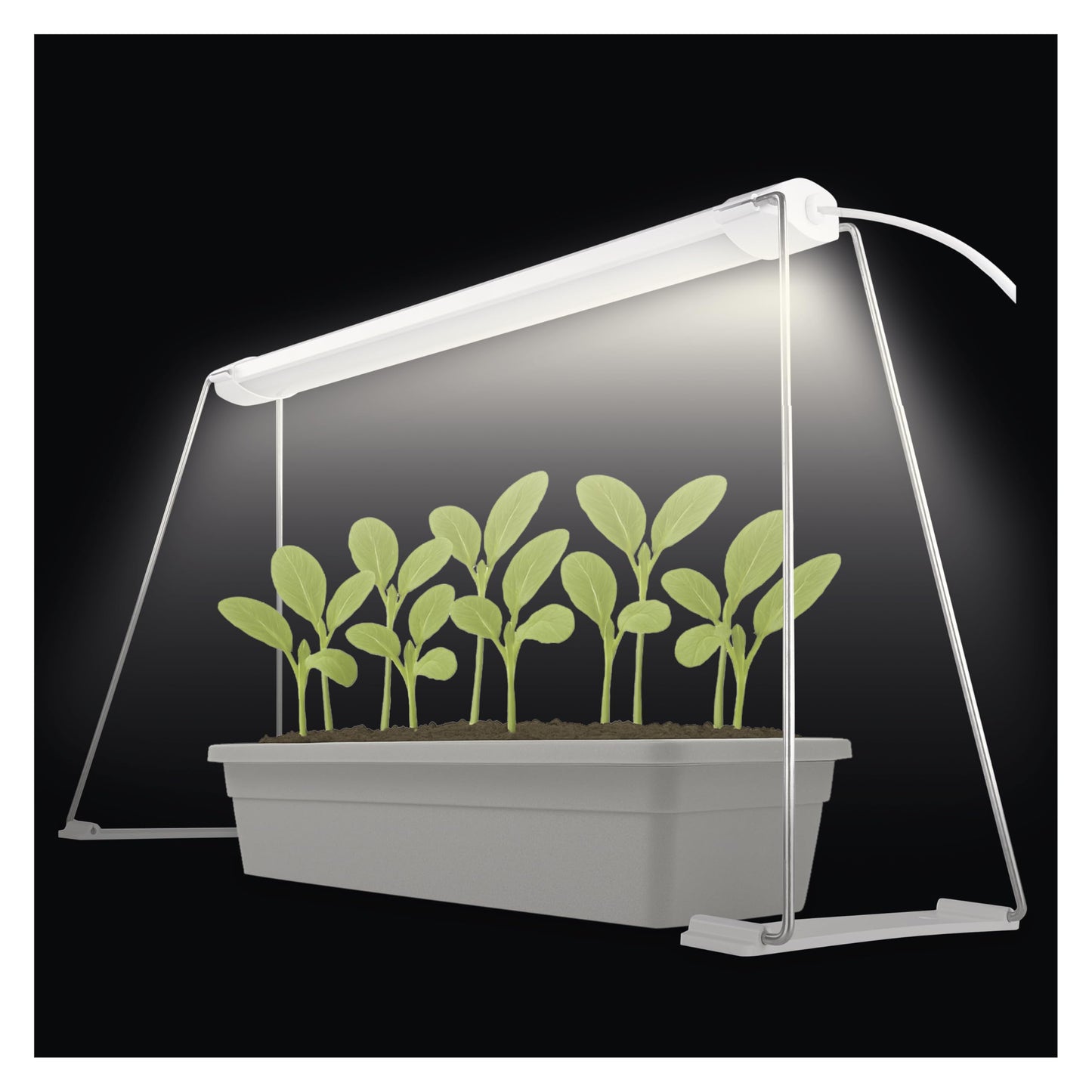 LED-Grow-Lampe mit Timer, Z7903