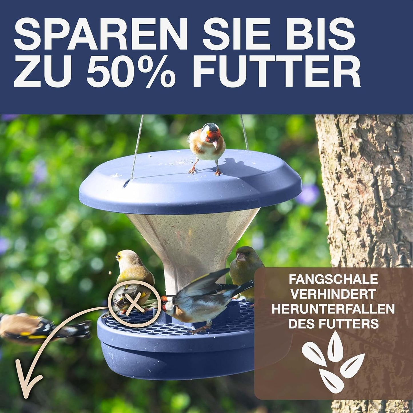 Vogelfutterhaus Davos, Indigo Davos