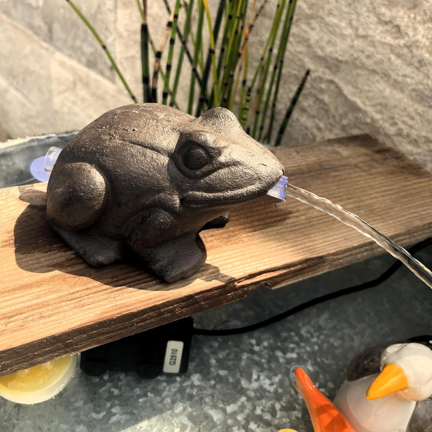 Wasserspeier-Frosch mit Aussenpumpe