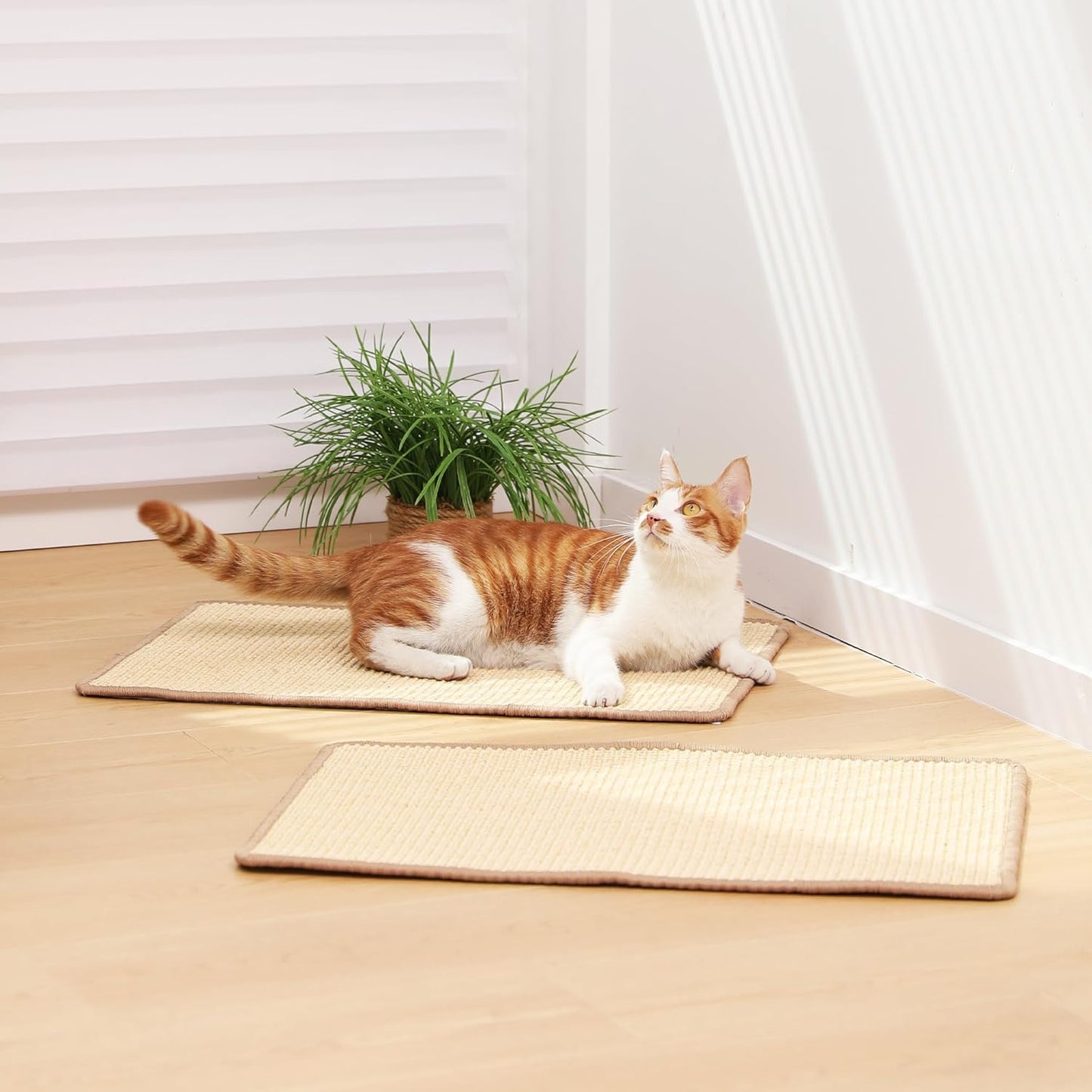 Kratzmatten-Set, 2 Stück, 50 x 30 cm, 50 x 30 cm（2er set）