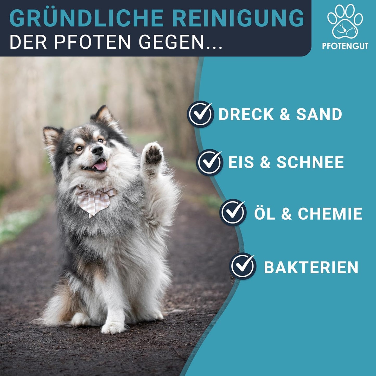 Pfotenreiniger für Hunde inkl. Mikrofaser-Handtuch, L