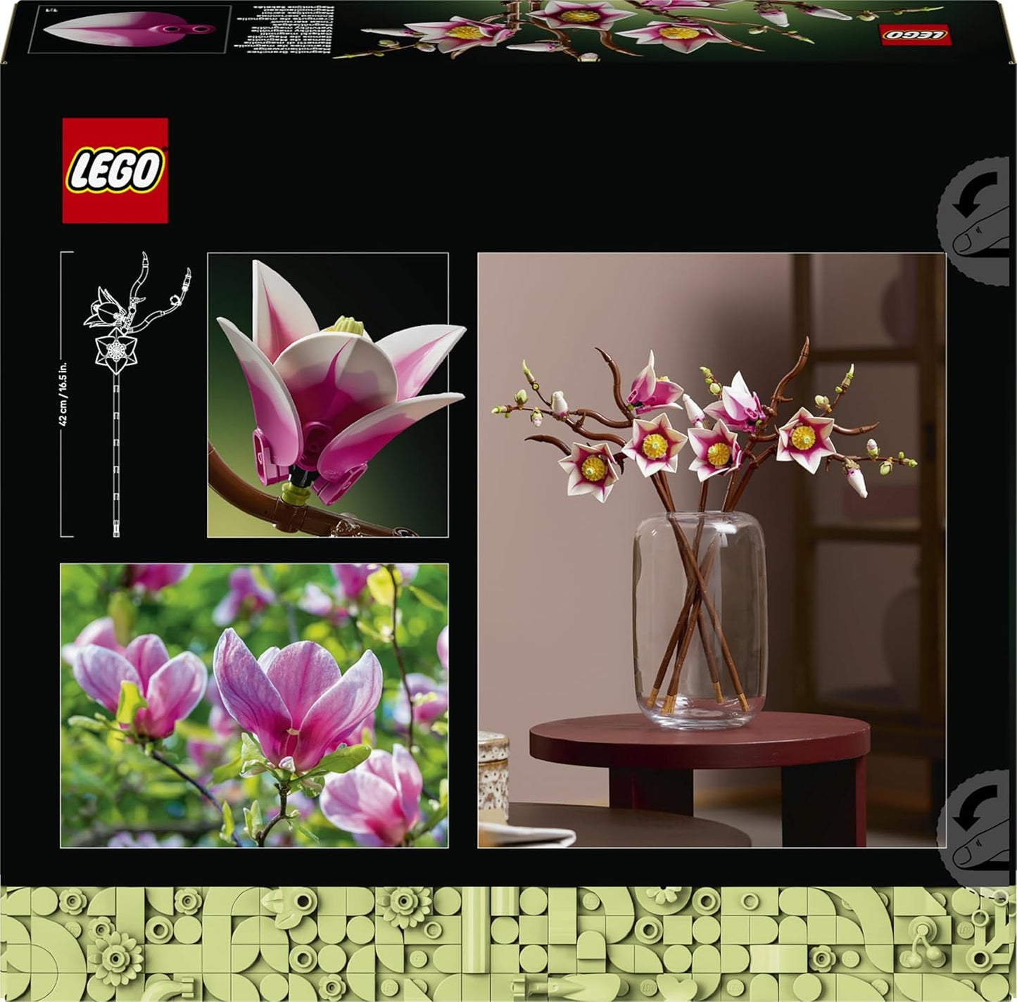 Magnolienzweige