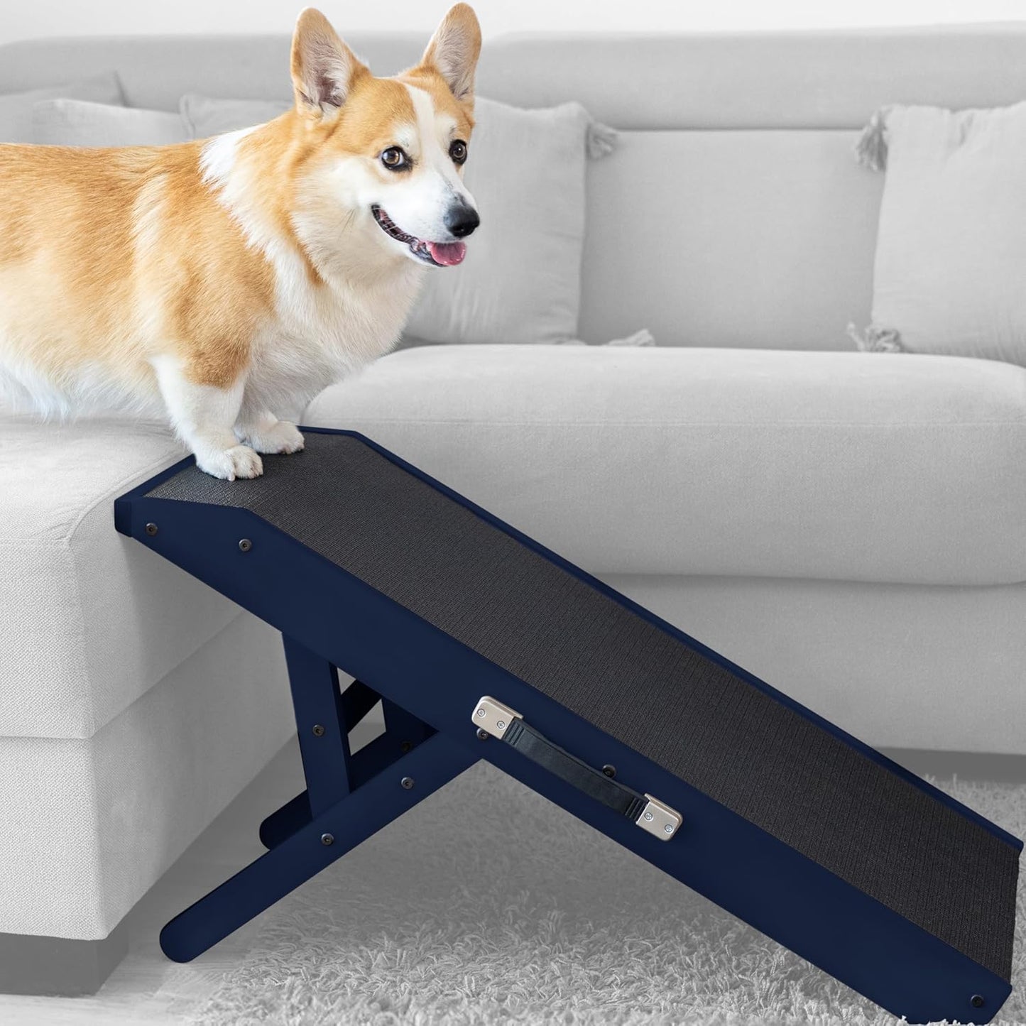 Hunderampe, Navy Blue