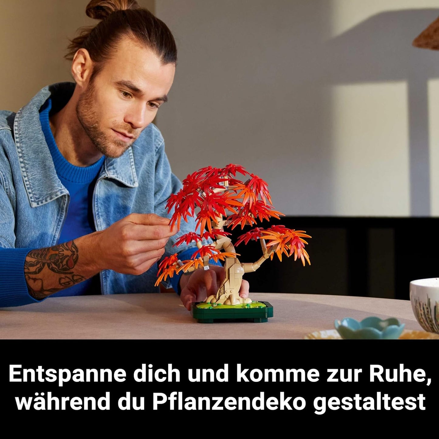 Japanischer Roter Ahorn - Bonsai-Baum