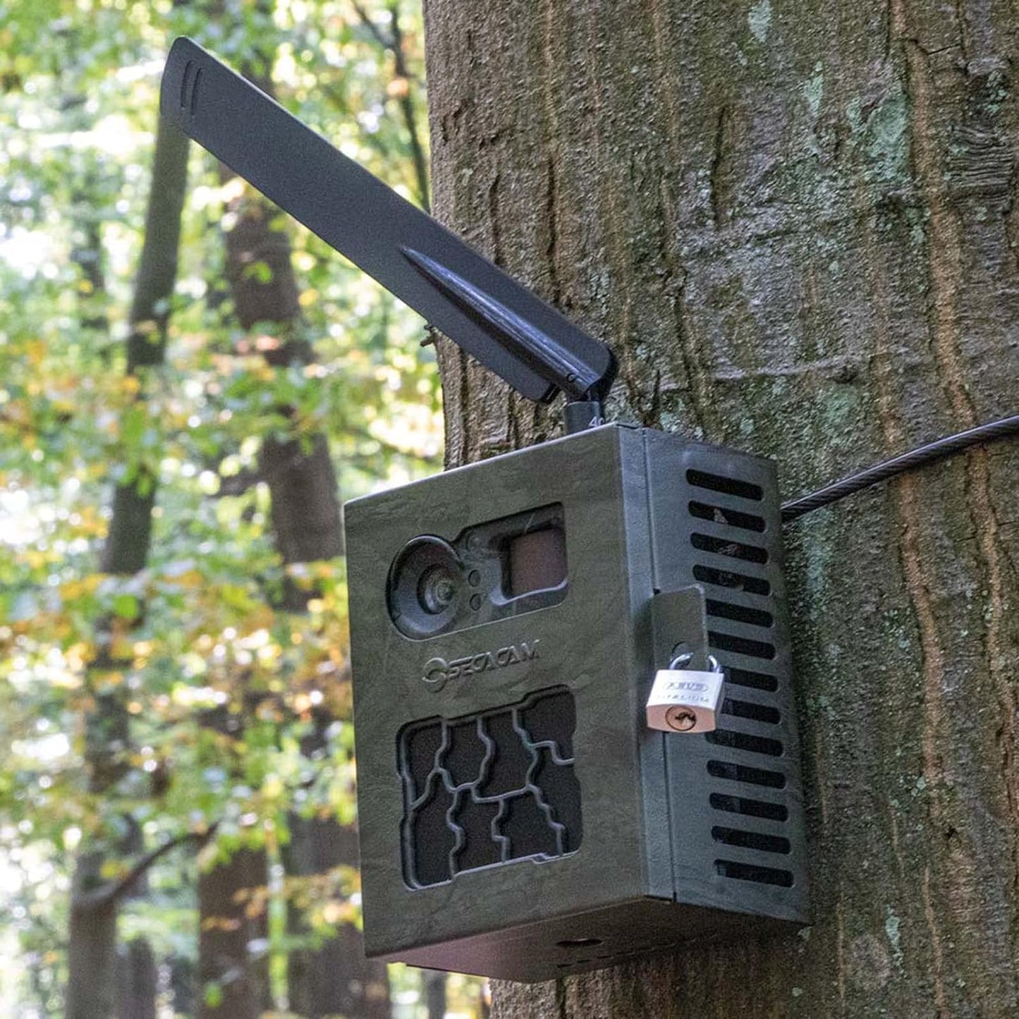 Schutzgehäuse für Wildkamera
