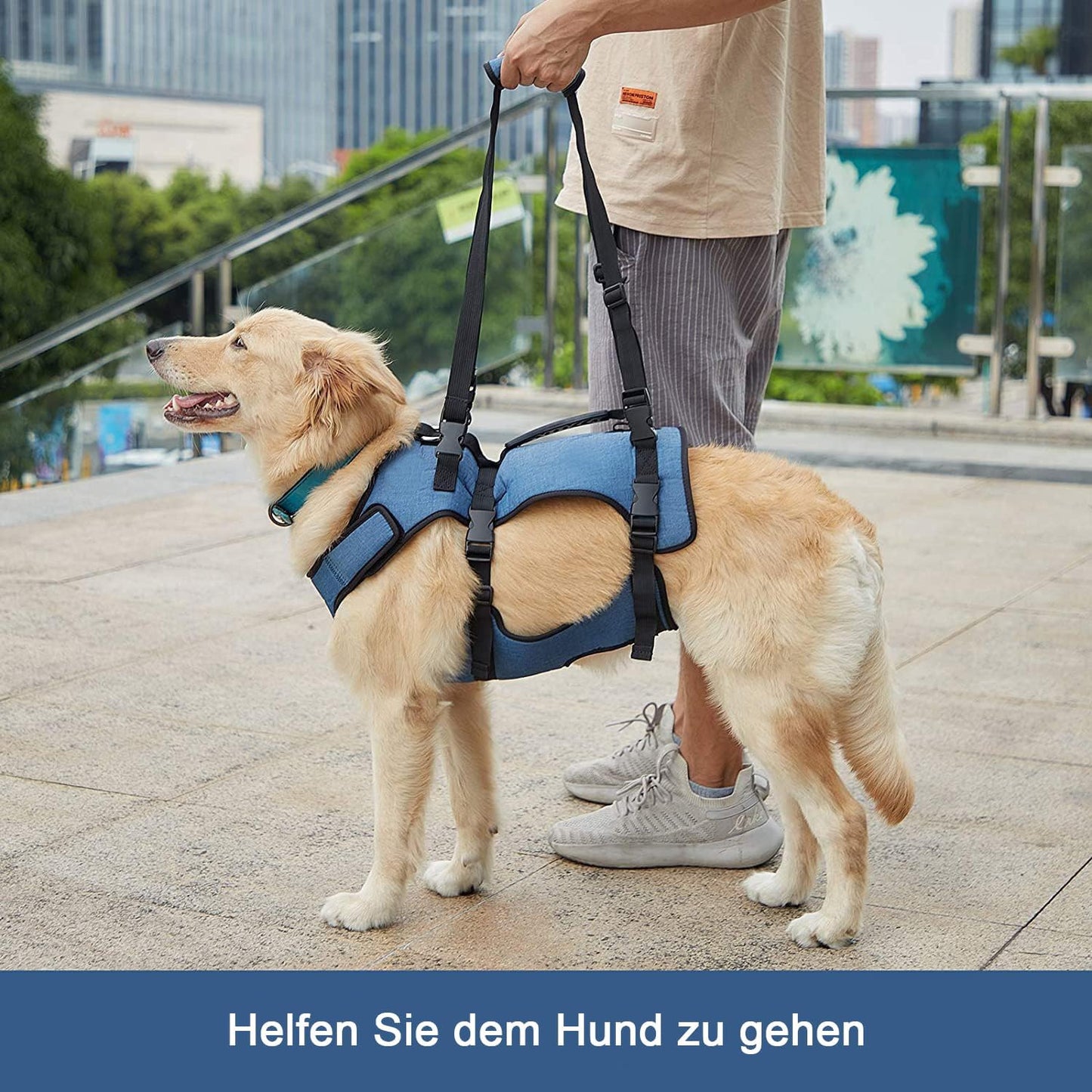 Hundelift Geschirr, M Blau