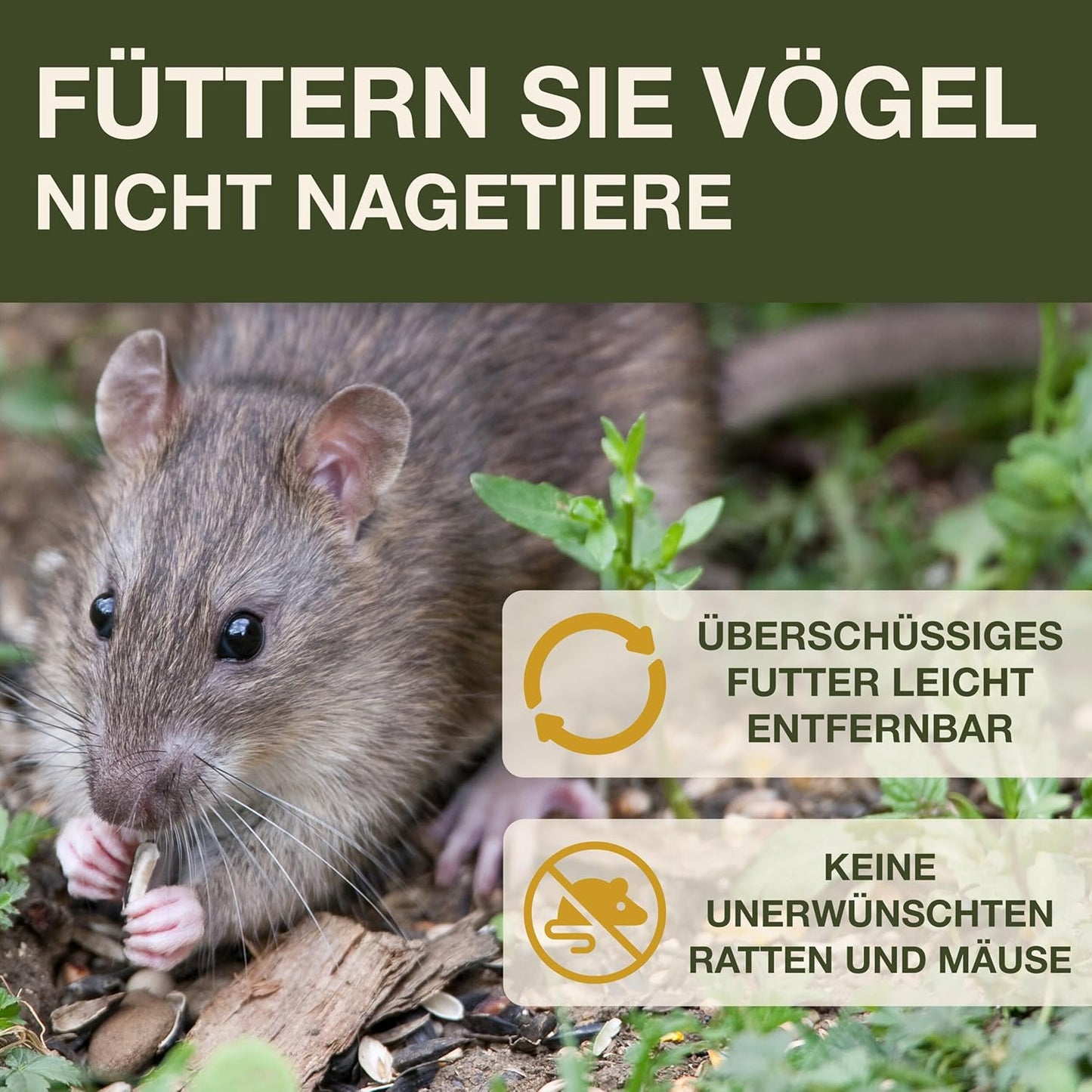 Vogelfutterhaus Lucerne, Grün Lucerne