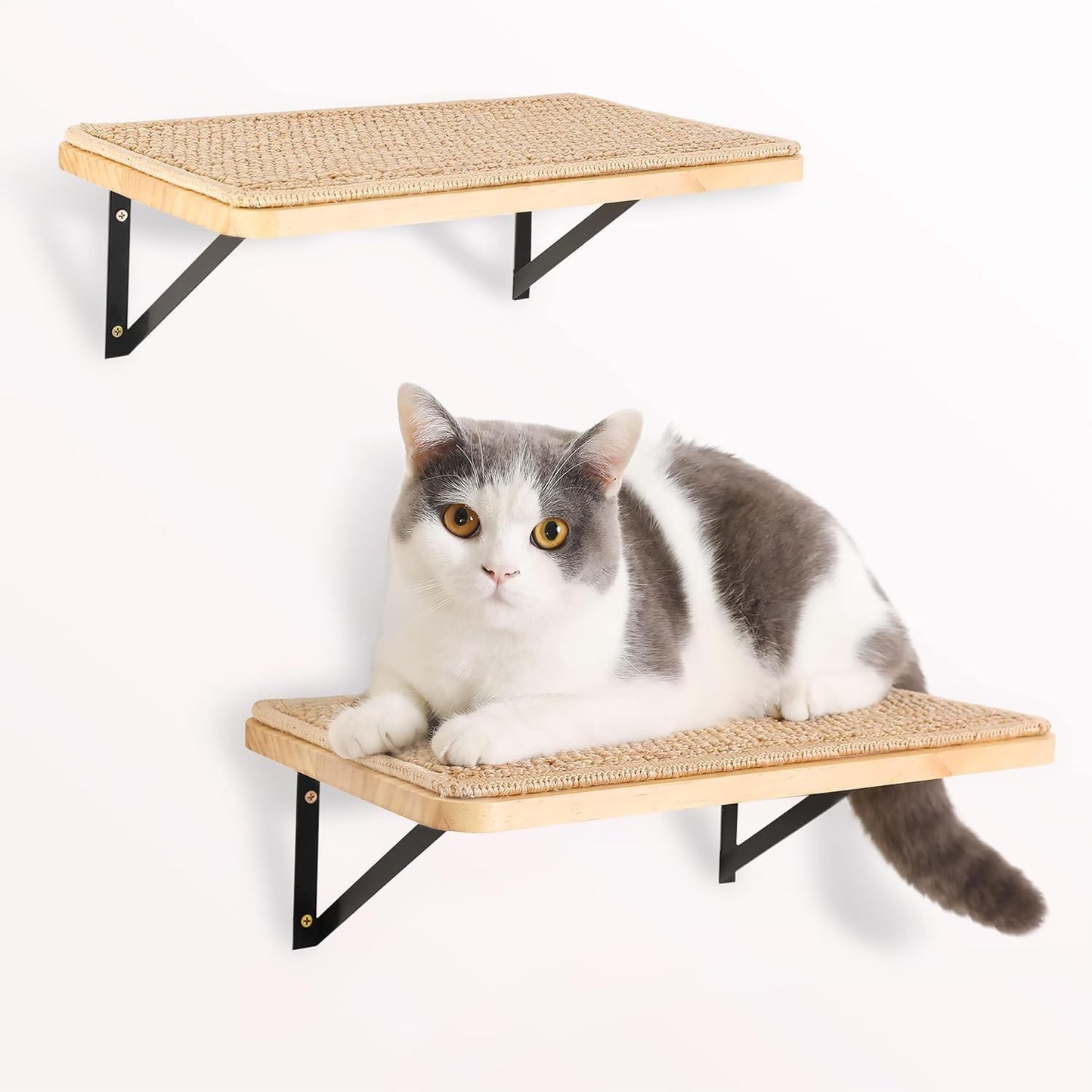 Katzen Kletterwand-Set mit Kratzmatte, 2 Stück, 2PC Katze Wandregal
