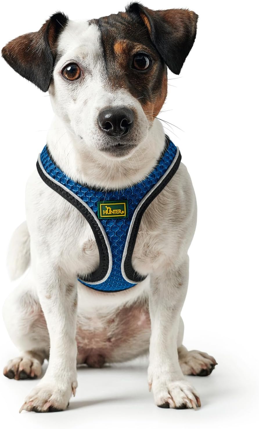 Hundegeschirr Hilo Comfort, blau XXS-XS