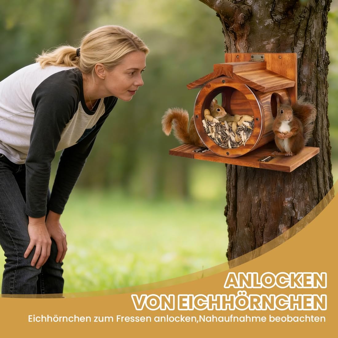 Eichhörnchen Futterstation mit Sitzplattformen