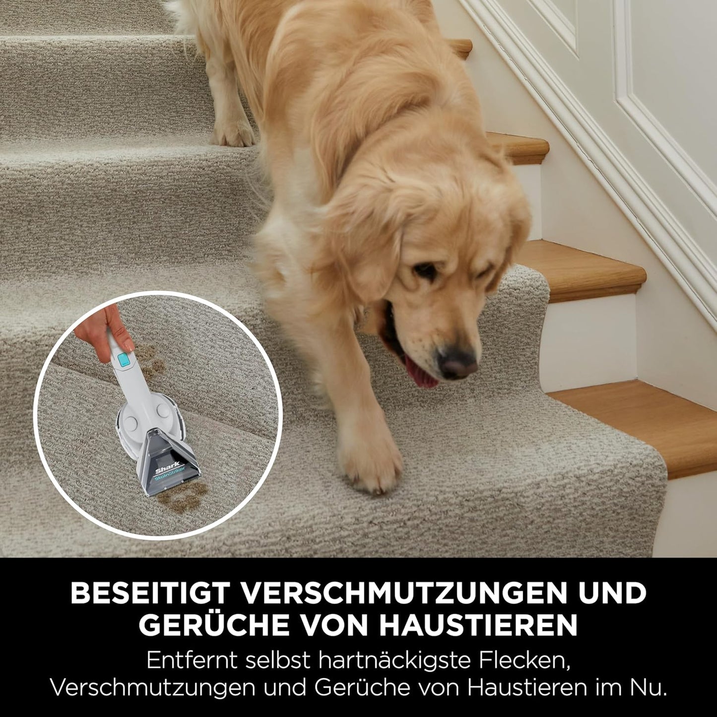 StainStriker Fleckenreiniger mit 4 Aufsätzen und Spezialformeln, StainStriker Lösung Starterflaschen