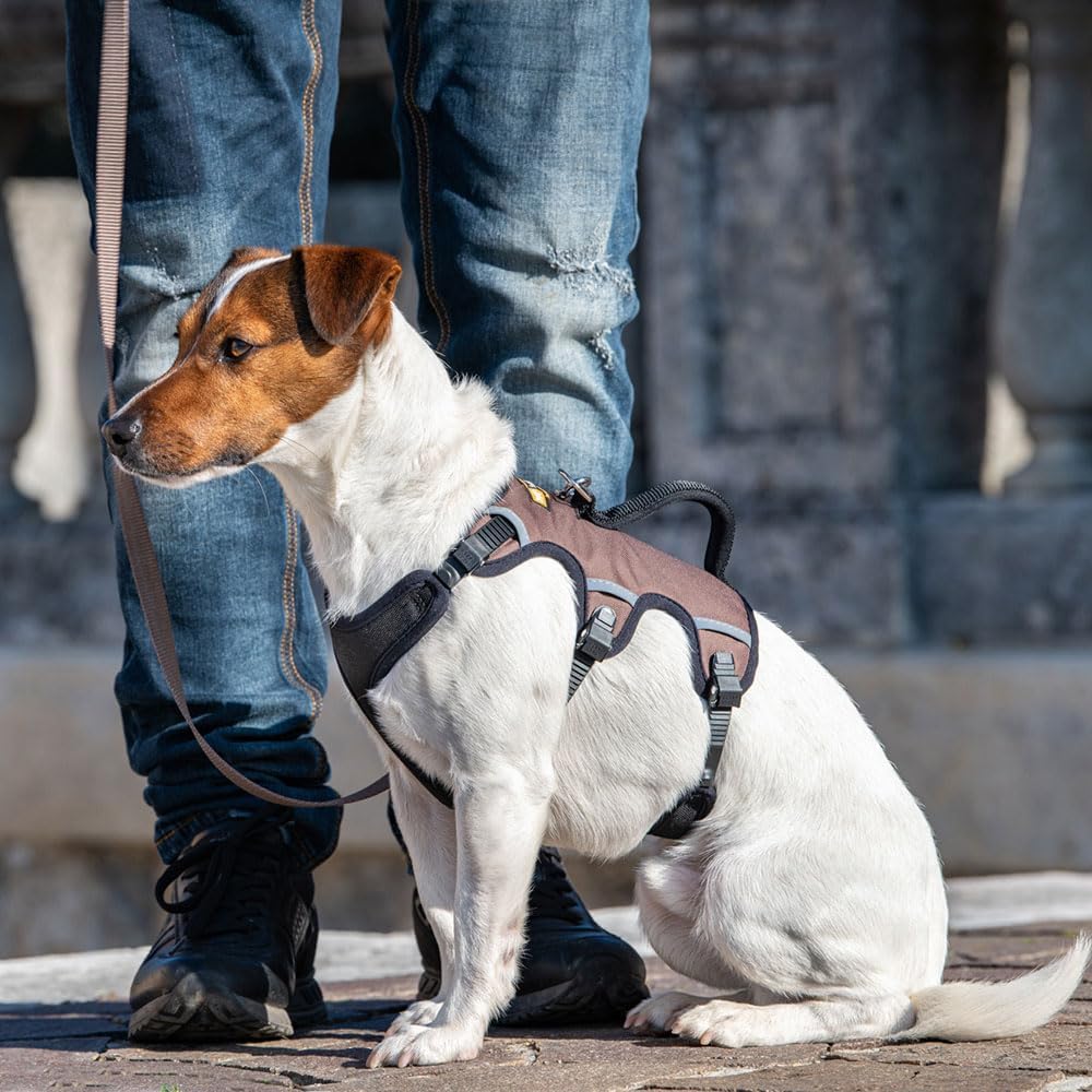 Ausbruchssicheres Hundegeschirr „Ergotrekking“, Schwarz Small