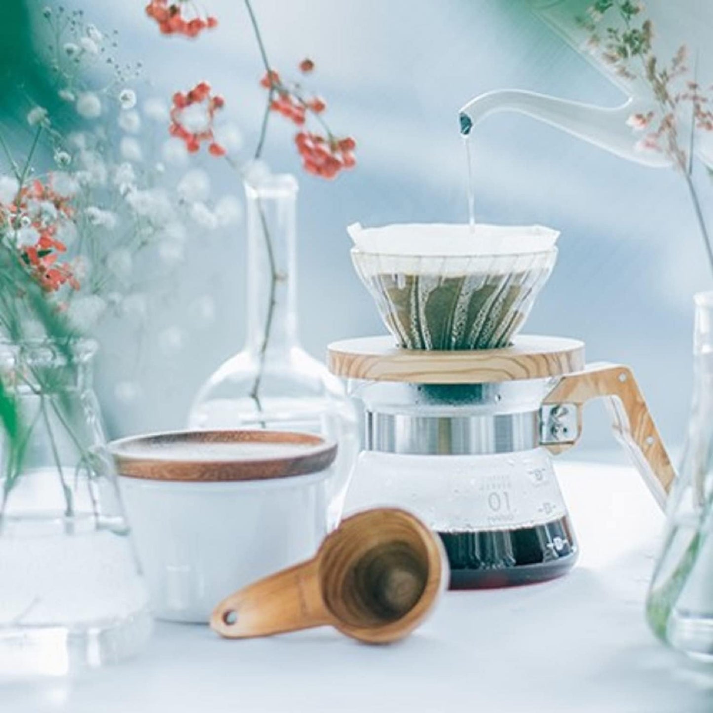 V60 Kaffeefilter, Olivenholz 01 Glas
