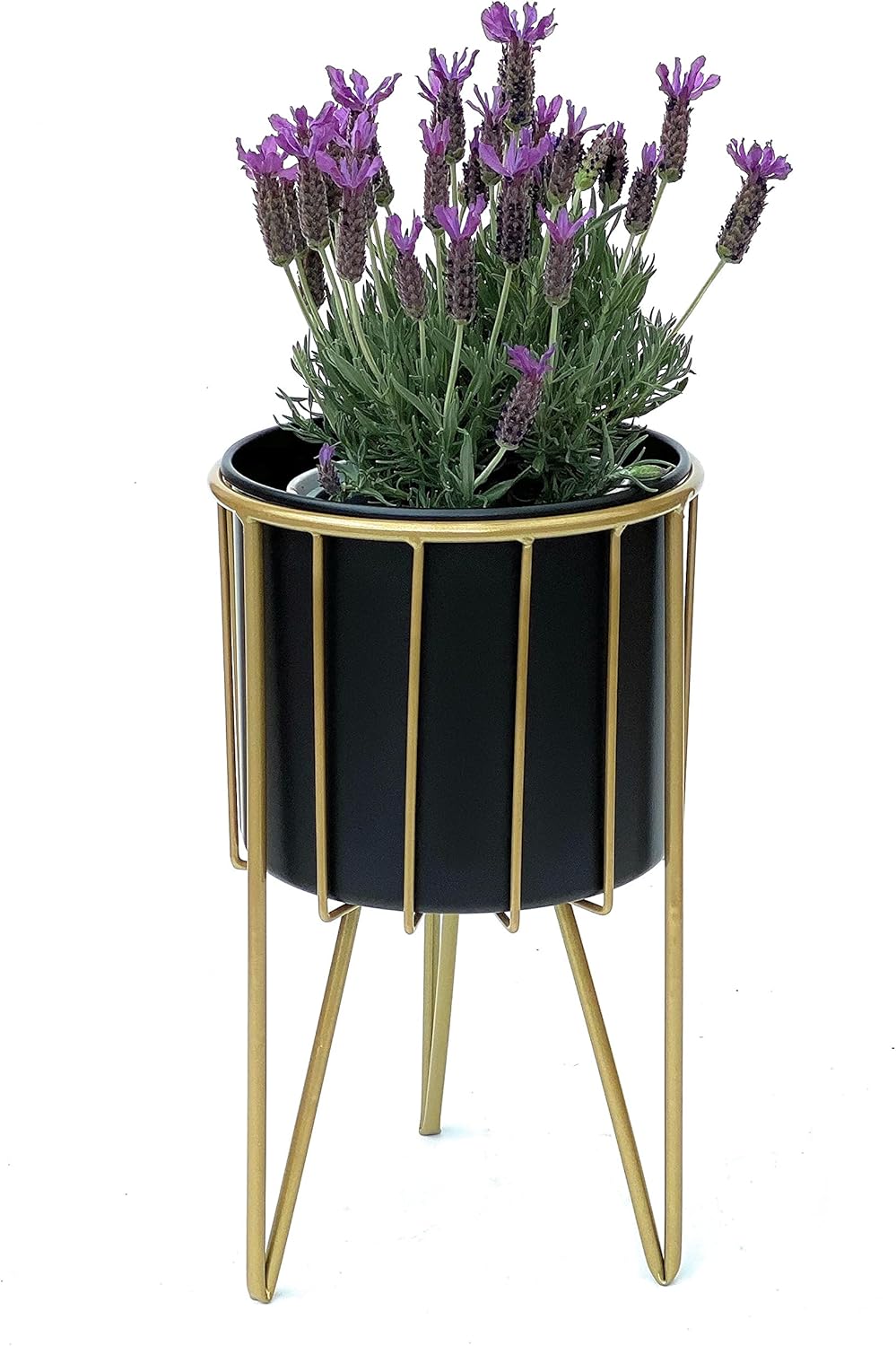 Blumenhocker mit Topf