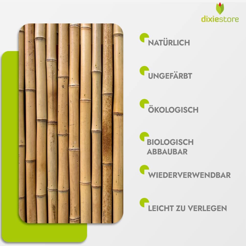 Bambus Pflanzenstützen Set, 250 120 cm x 12-14 mm