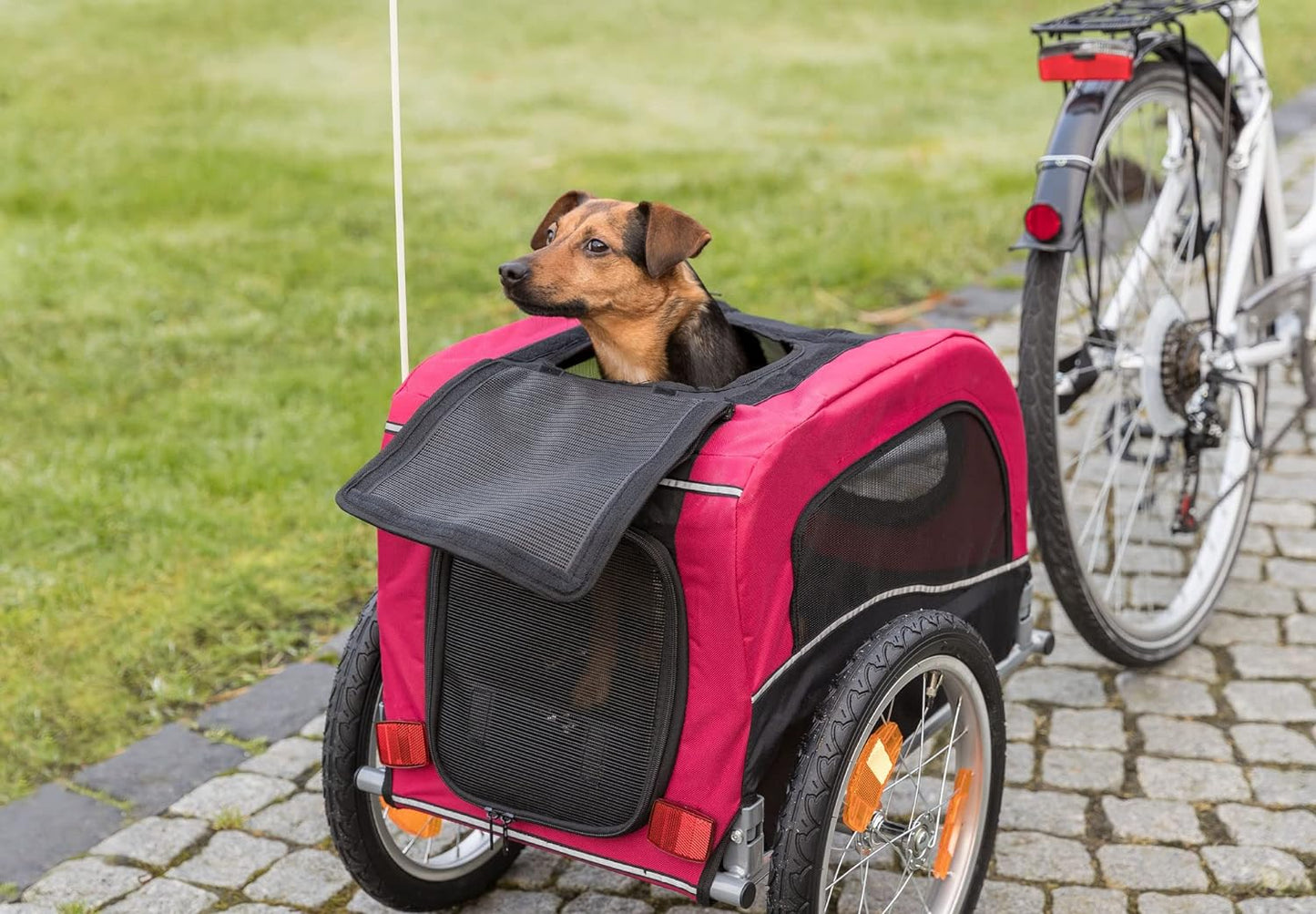 Velo-Anhänger für Hunde, S, Single