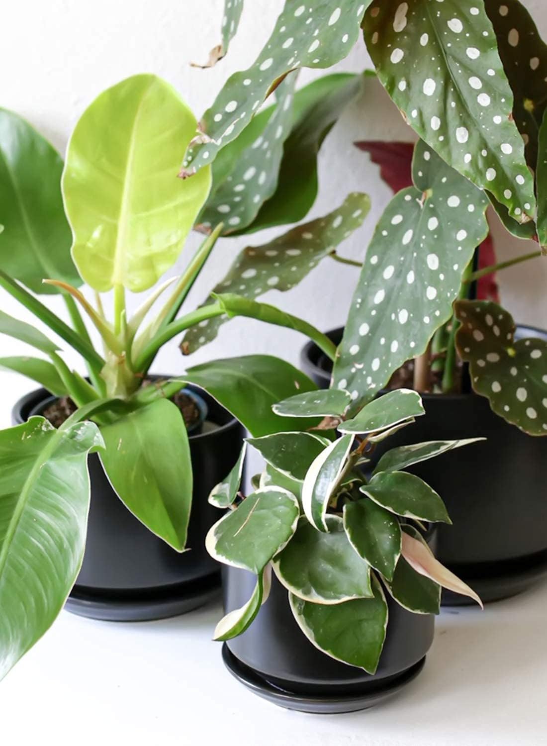 Keramik Blumentopf-Set mit Untersetzer, Schwarz