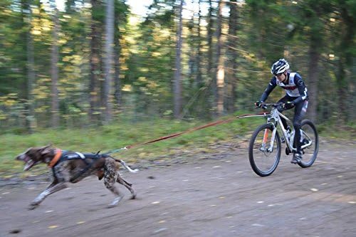 Bike Antenna Hundebefestigung für Fahrrad