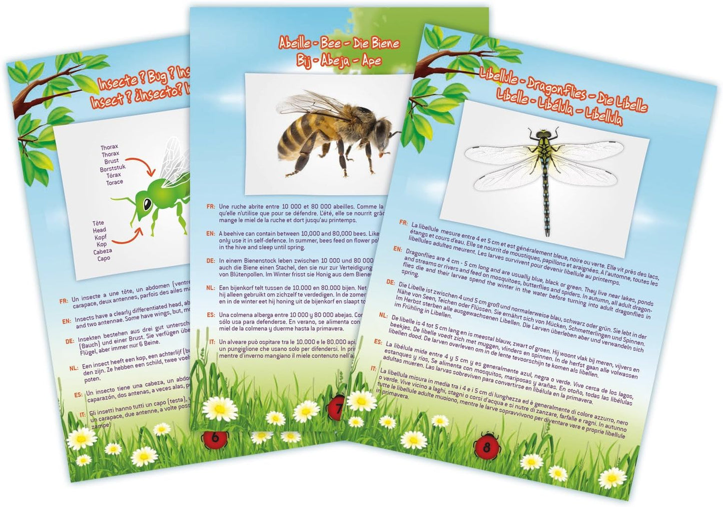 Insektenstaubsauger für Kinder (Modell BL052)