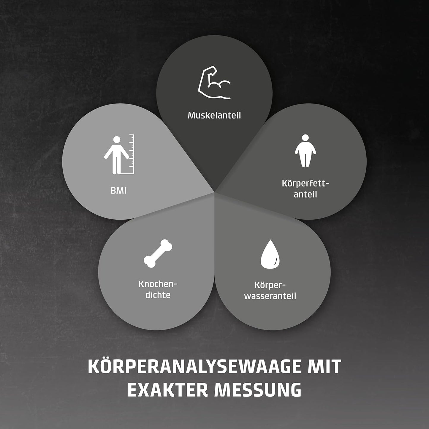 Körperanalysewaage - BodyEnergy Fit