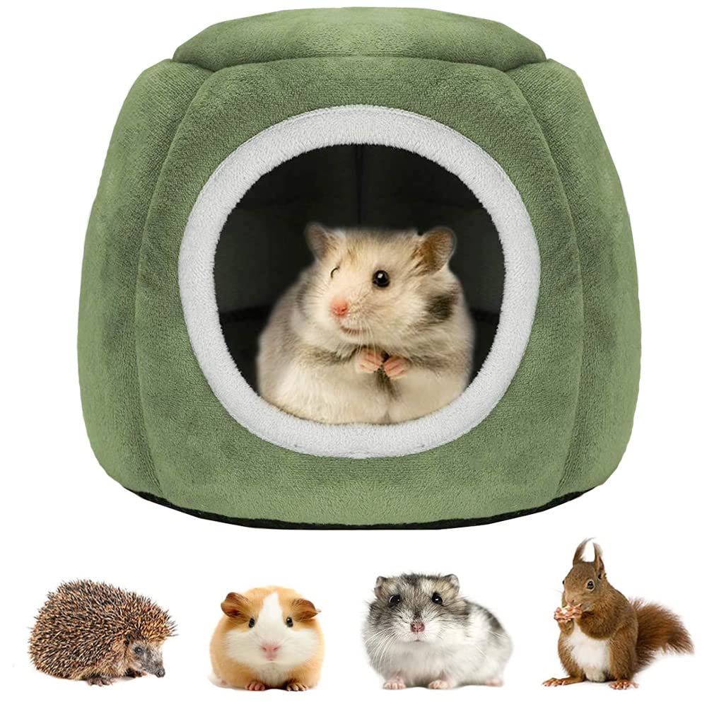 Kleintierbett für Hamster, Grün